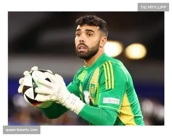 阿森纳门将拉亚完成本赛季第20次零封,成五大联赛首位达成此成就门将